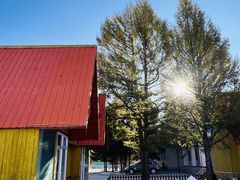 -塞罕坝国家级自然保护区