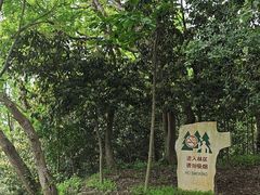 -上海佘山国家森林公园天马山园