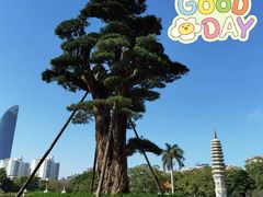 -南普陀寺