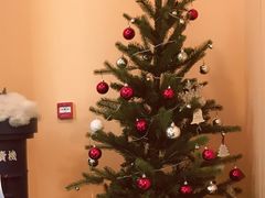 -杯欢制茶(三里屯店)