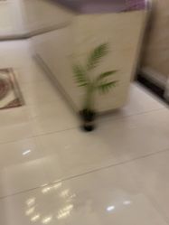 -香秀空间科技抗衰·美容中心