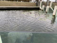 -春花秋色城市公园