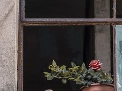 -江苏省黄埭中学