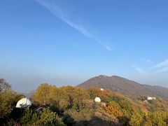 -紫金山山顶公园