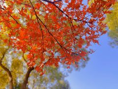 -灵山胜境