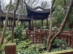 -上海佘山国家森林公园天马山园