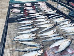 -南沙十九涌渔人码头-南门