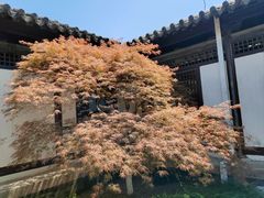-常熟方塔园