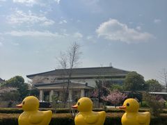 -苏州湾·王焰温泉