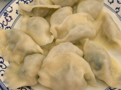 -东方饺子王(新阳路店)