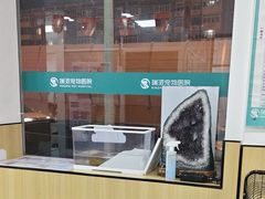 -瑞派长江宠物医院·猫科·外科·24小时夜护(谊城公寓分院)