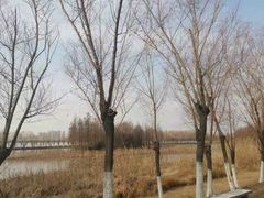 -艾溪湖湿地公园