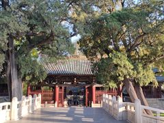 -晋祠公园