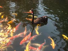 -湖鲜楼