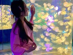 -重庆欢乐海底世界