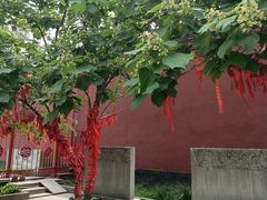 -中心庙