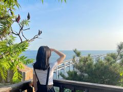 -星海湾跨海大桥
