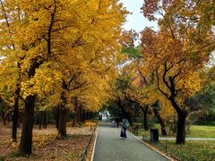 -国家植物园南园