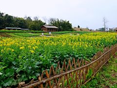 -川南大草原