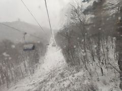-亚布力新体委滑雪场