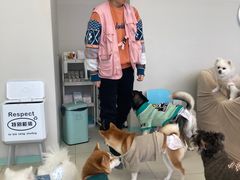 -怪兽屋·羊驼·猫咖·狗咖(俊华广场店)