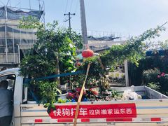 -三圣花乡旅游区