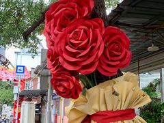 -溪岸路花鸟市场