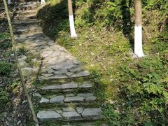 -都江堰中华大熊猫苑