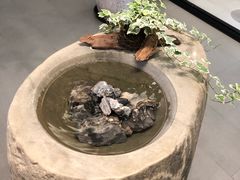 -青嵩养身会馆