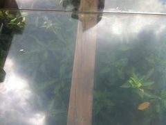 -东寨港红树林旅游区