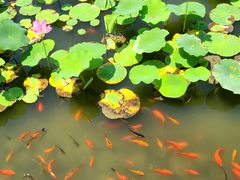 -西海子公园