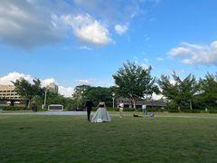 -风云岭森林公园