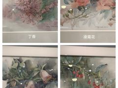 -广东中医药博物馆