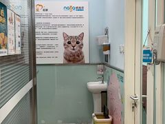 -纳吉亚猫专科动物医院博雅分院