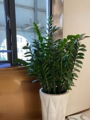 点击看大图 -深圳美莱医疗美容医院