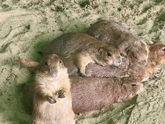 -杭州野生动物世界