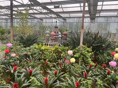 -南宫五洲植物乐园