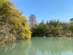 -西溪国家湿地公园