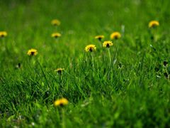 -老牌坊鲁菜名店(宽厚里店)