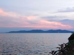 -上海市保健医疗中心