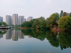 -新江湾城公园