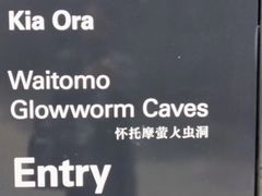 -怀托摩萤火虫洞