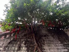 -重庆十八梯传统风貌区