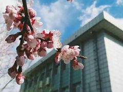 -吉林大学(南岭校区)