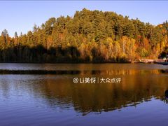 -五营红松林海景区