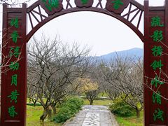 -香雪海
