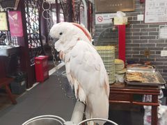 -四海楼(如皋定慧禅寺店)