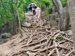 -紫金山山顶公园