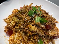 乾隆白菜-紫光园(全国总店)