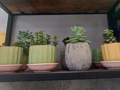 -700CC(丹东女人街店)